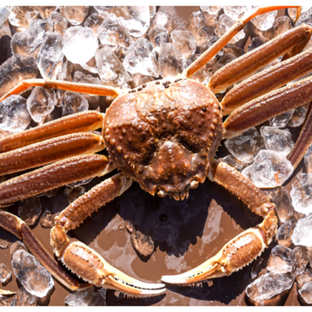골드크랩 생물 A급 대게2kg