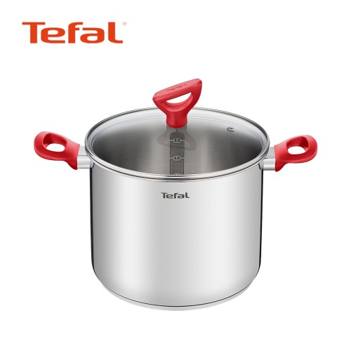 [Tefal] 테팔 에디션 레드 인덕션 곰솥냄비 22cm