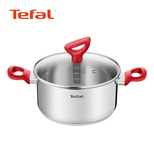 [Tefal] 테팔 에디션 레드 인덕션 양수냄비 24cm