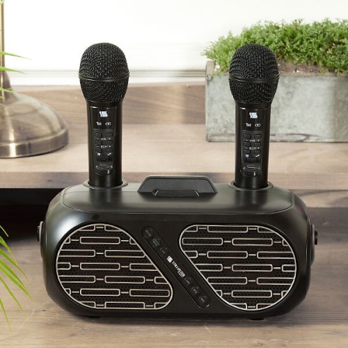 [슈틸루스터] ST-DM100 무선 듀얼 노래방 마이크